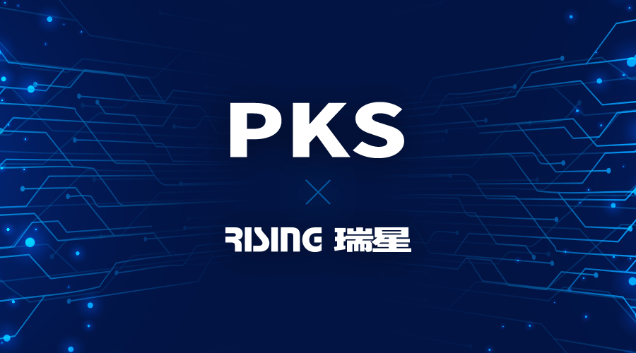 瑞星助推PKS生态发展 与各方伙伴共建数字中国